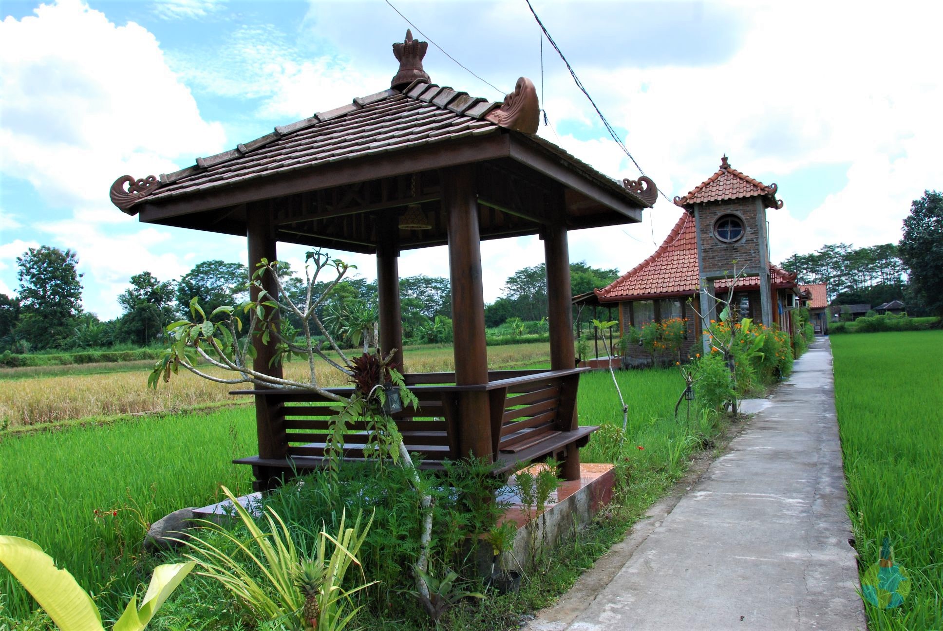 Villa Alamanda, orezarie, Yogyakart