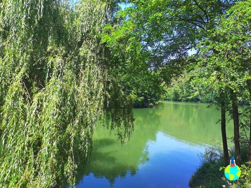 Apa lacului în nuanțe turcoaz și verde