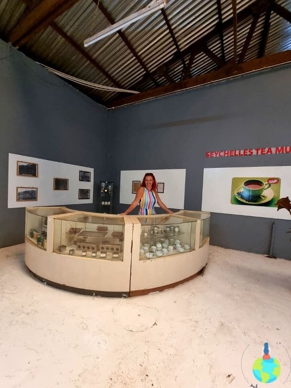 Anapedia în vizită la plantația de ceai din Seychelles